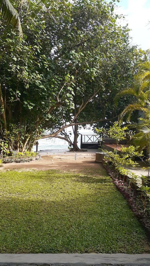 Beach Paradise Hotel Matara Exterior photo